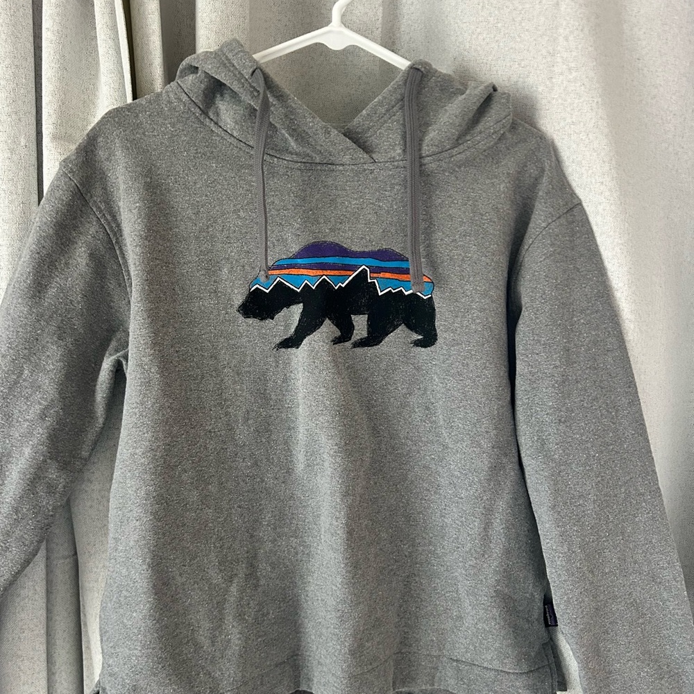 Gray Hoodie with Bear Design. Never worn.  Only washed.